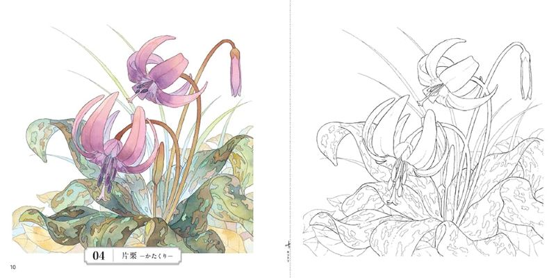 PREORDER Flower Coloring Book: The Beauty of Japan's Four Seasons