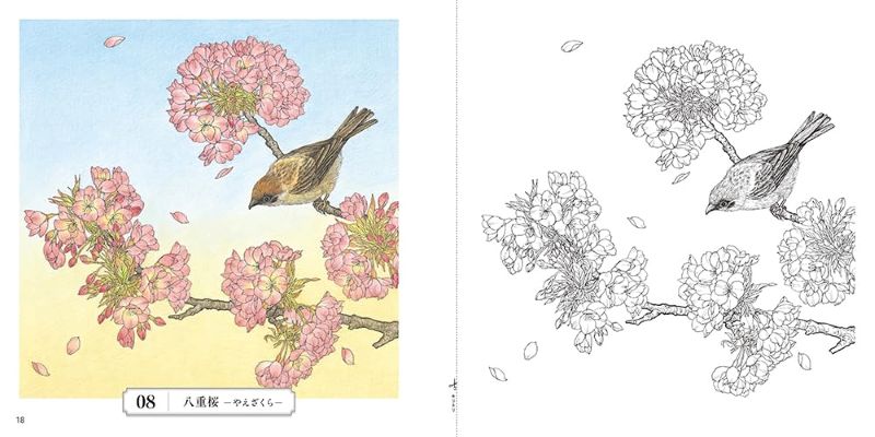 PREORDER Flower Coloring Book: The Beauty of Japan's Four Seasons