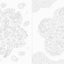 PREORDER Flowers and Auspicious Patterns Coloring Book