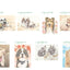 PREORDER Adult Coloring Postcard Book: Dogs in the Warm Sunshine