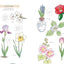PREORDER Draw and Record Beautiful, Cute, and Delicious Things with Colored Pencils