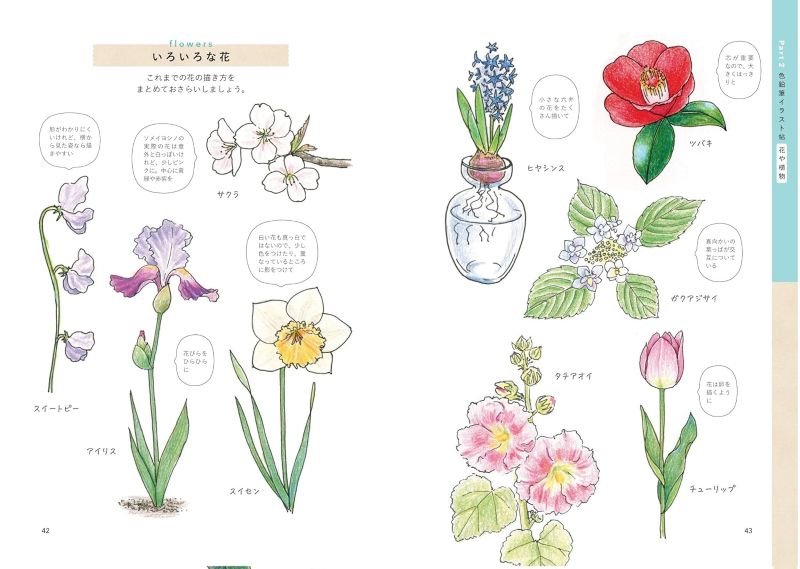 PREORDER Draw and Record Beautiful, Cute, and Delicious Things with Colored Pencils