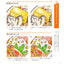 PREORDER Ekiben Train Station Bento Coloring Book