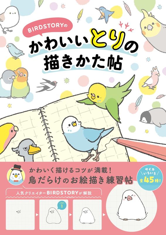 PREORDER BIRDSTORY: A Guide to Drawing Cute Birds
