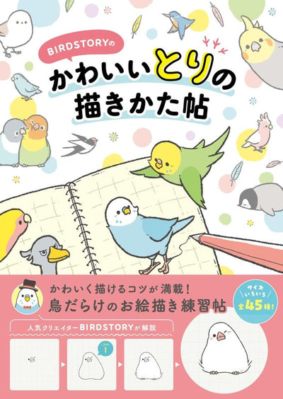 PREORDER BIRDSTORY: A Guide to Drawing Cute Birds