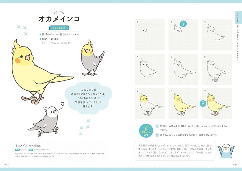 PREORDER BIRDSTORY: A Guide to Drawing Cute Birds
