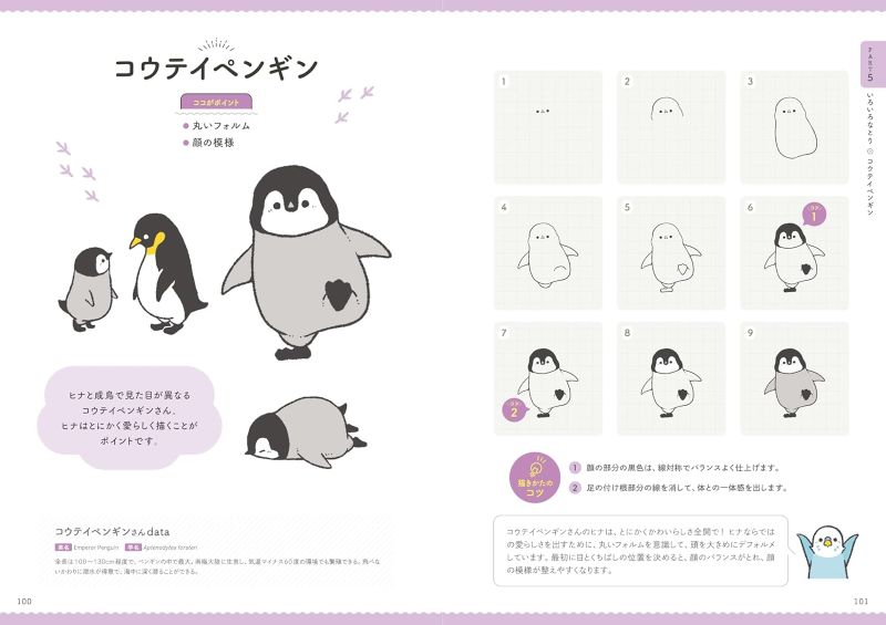 PREORDER BIRDSTORY: A Guide to Drawing Cute Birds