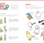 PREORDER BIRDSTORY: A Guide to Drawing Cute Birds