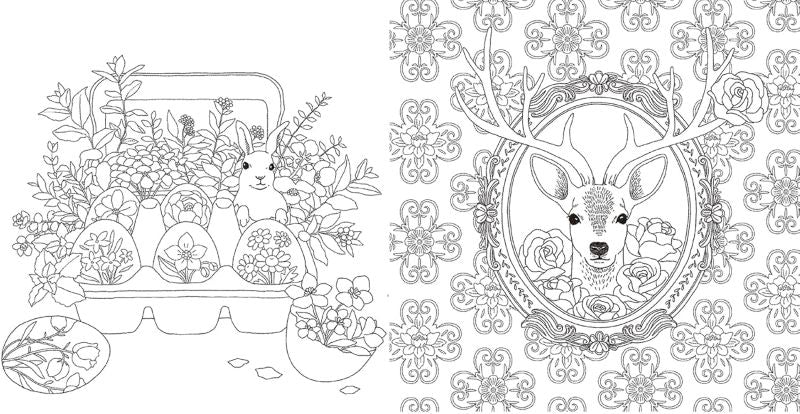 PREORDER A Journey with Flowers and Animals Coloring Book