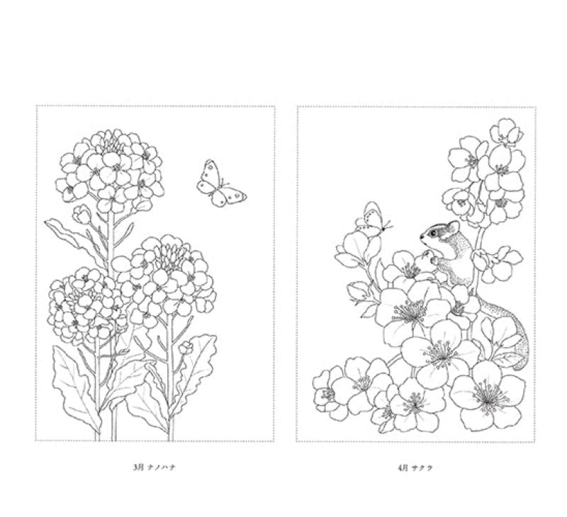 PREORDER A Journey with Flowers and Animals Coloring Book