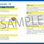 PREORDER Survival Japanese with Sonic the Hedgehog