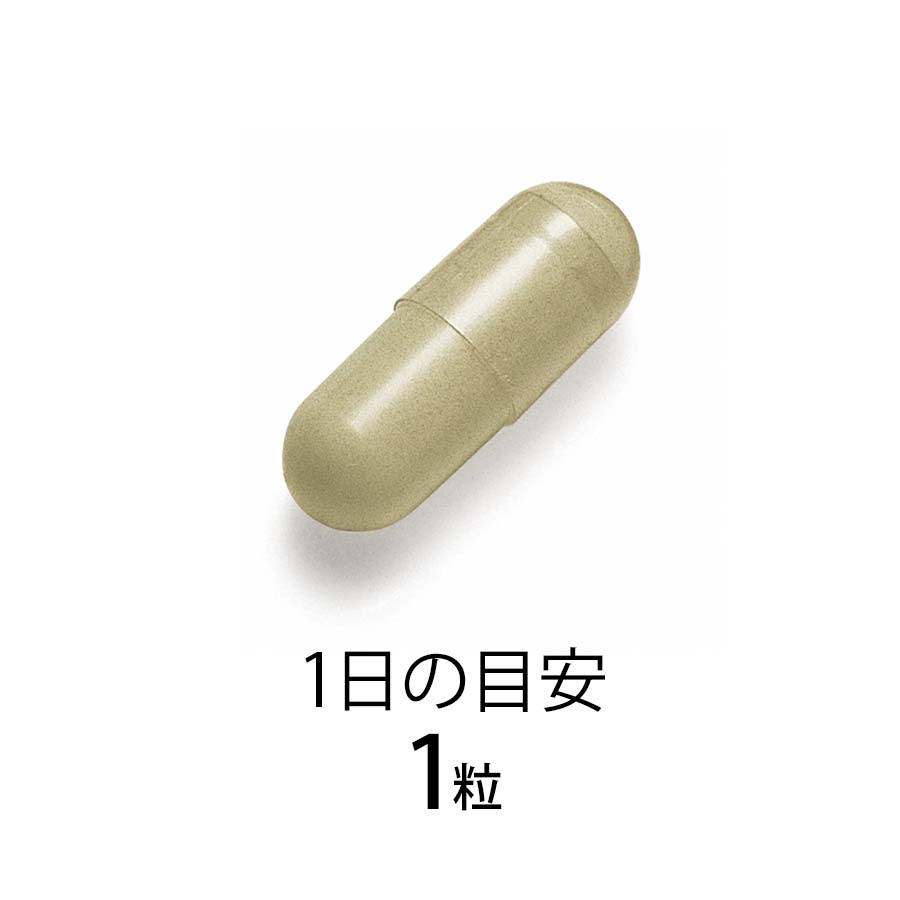 FANCL Wellage Premium (Japanese St. John’s Wort Supplement)