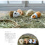 PREORDER Hand-Sewn Rodent Plushies