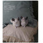 PREORDER Hand-Sewn Rodent Plushies