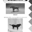 PREORDER Cute & Cool 3D Origami