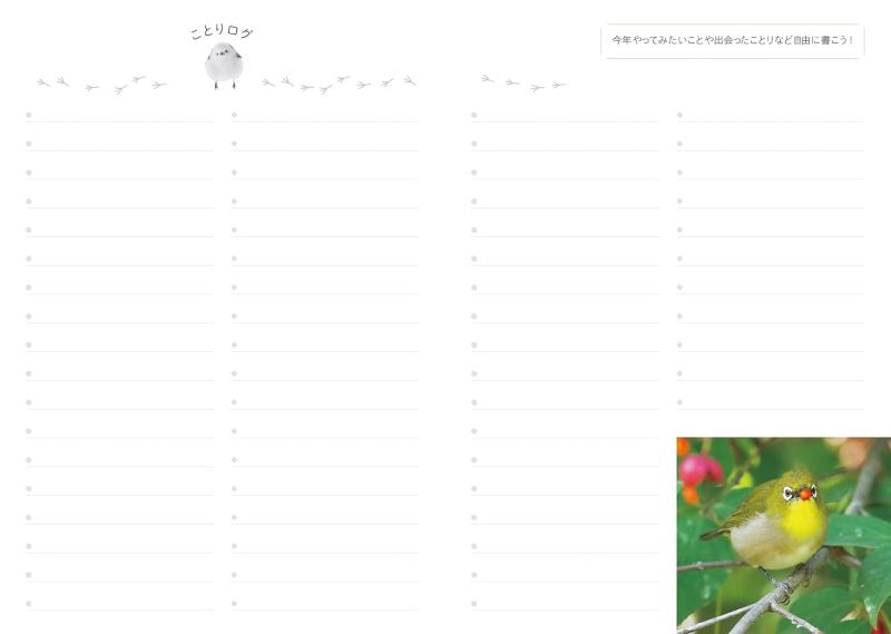 PREORDER Fluffy and Round Birds 2026 Schedule Book