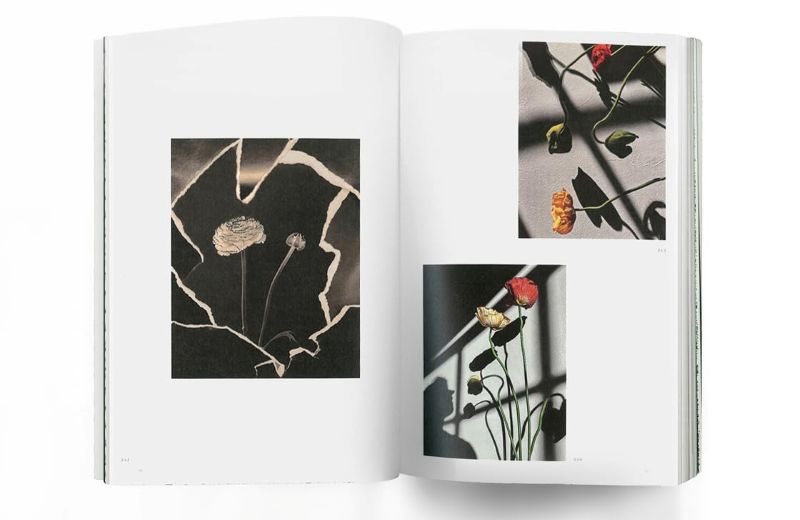 PREORDER The Netherlands × Chiba: Taking Photographs, Telling Stories
