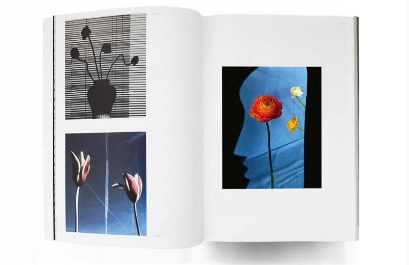 PREORDER The Netherlands × Chiba: Taking Photographs, Telling Stories