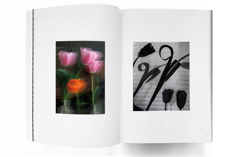 PREORDER The Netherlands × Chiba: Taking Photographs, Telling Stories