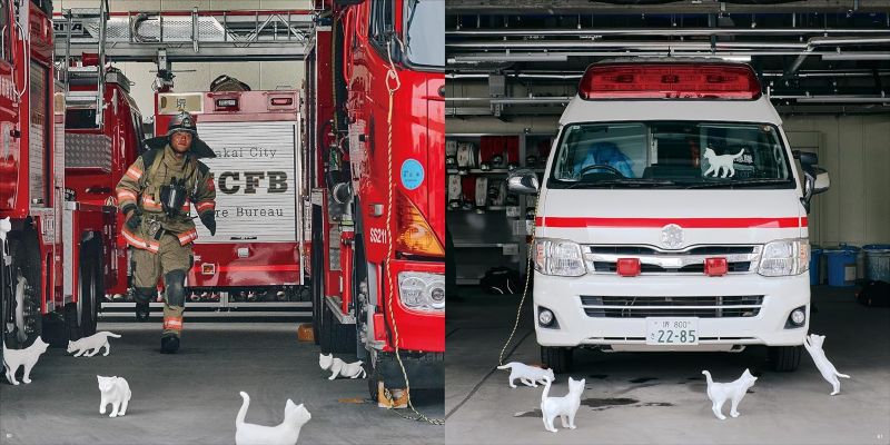 PREORDER  Is There a Cat? Collaboration with a Hundred Cats