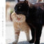 PREORDER Always Carefree Cat