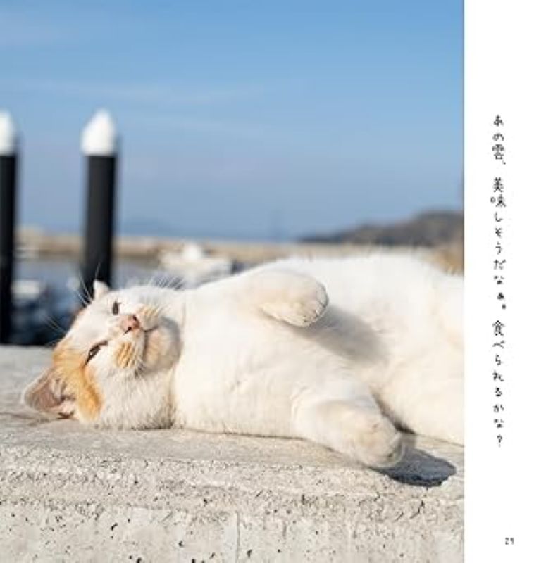 PREORDER Always Carefree Cat