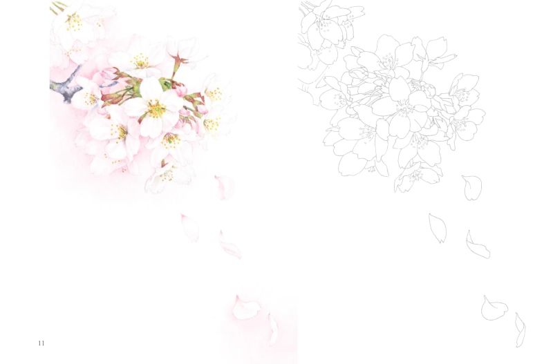 PREORDER Postcard-Sized Coloring Book: Floral Fragrance