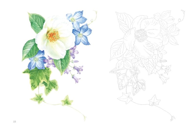 PREORDER Postcard-Sized Coloring Book: Floral Fragrance
