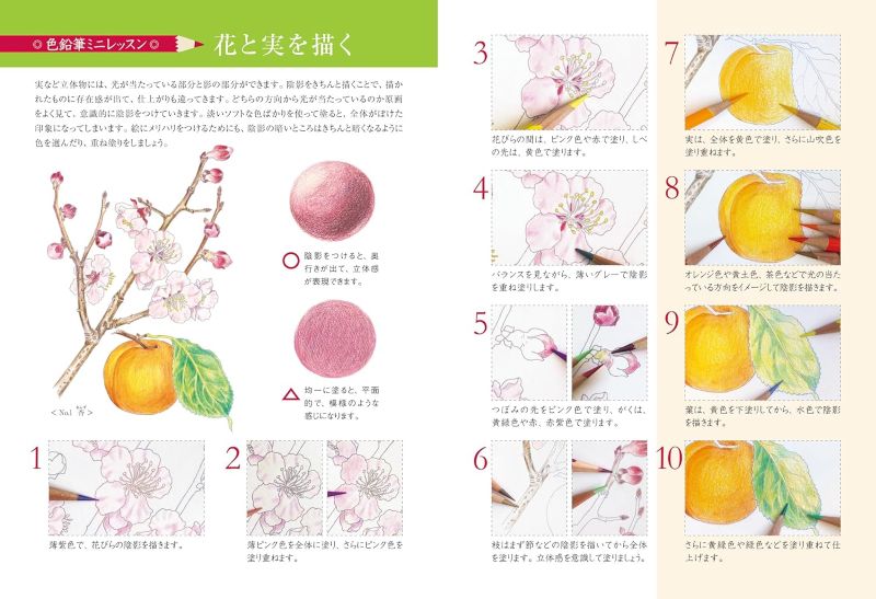 PREORDER Adult Coloring Starter Book: Delicious Vegetables and Fruits