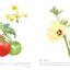 PREORDER Adult Coloring Starter Book: Delicious Vegetables and Fruits
