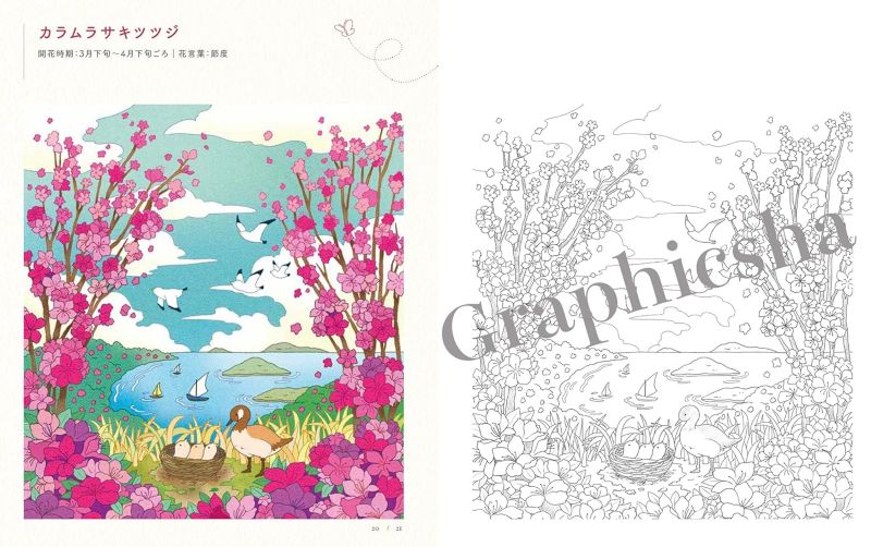 PREORDER Pleasantly Warm: A Cozy Coloring Book of Flowers and Animals
