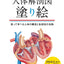 PREORDER Human Anatomy Coloring Book