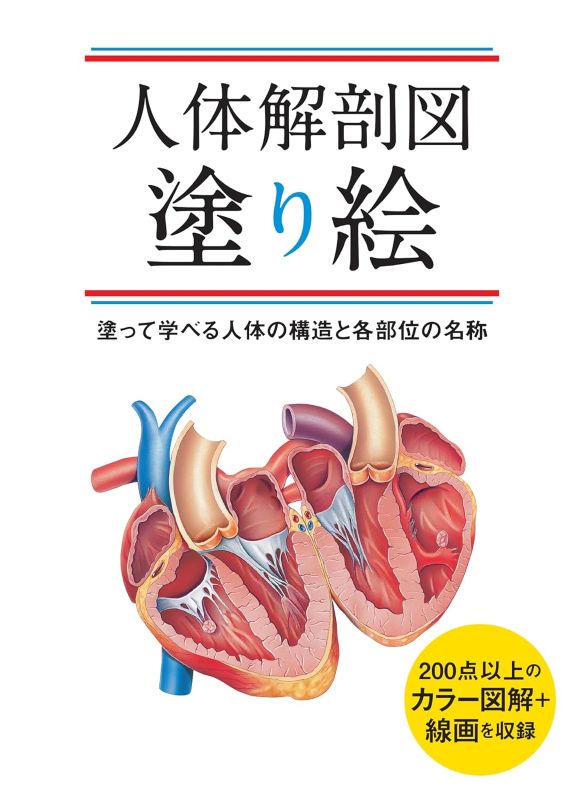 PREORDER Human Anatomy Coloring Book