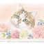 PREORDER Adult Coloring Book: Beautiful Original Line Art Ready to Color Whimsical Cats