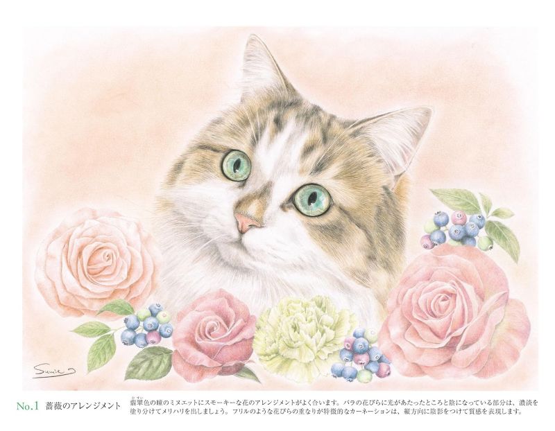 PREORDER Adult Coloring Book: Beautiful Original Line Art Ready to Color Whimsical Cats