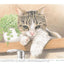 PREORDER Adult Coloring Book: Beautiful Original Line Art Ready to Color Whimsical Cats