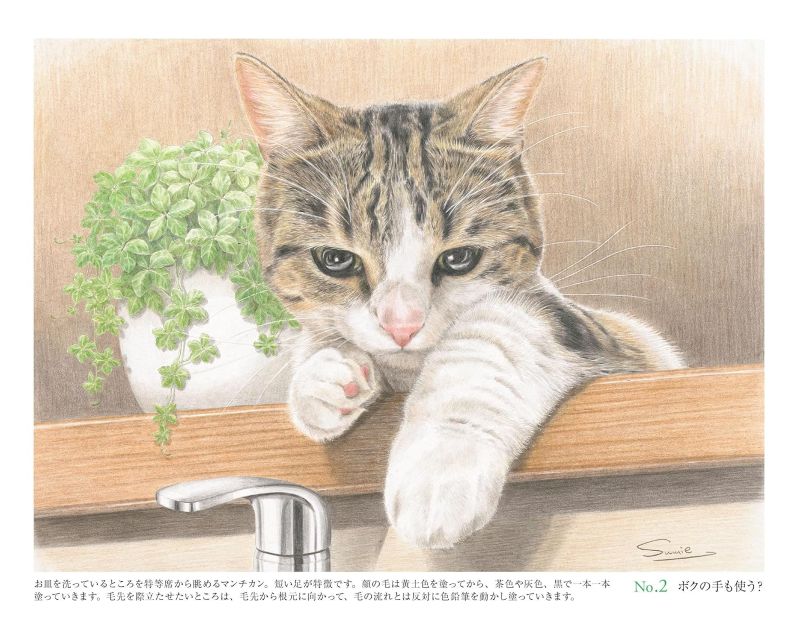 PREORDER Adult Coloring Book: Beautiful Original Line Art Ready to Color Whimsical Cats