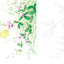 PREORDER Postcard-Sized Coloring Book: Messages of Flowers and Plants