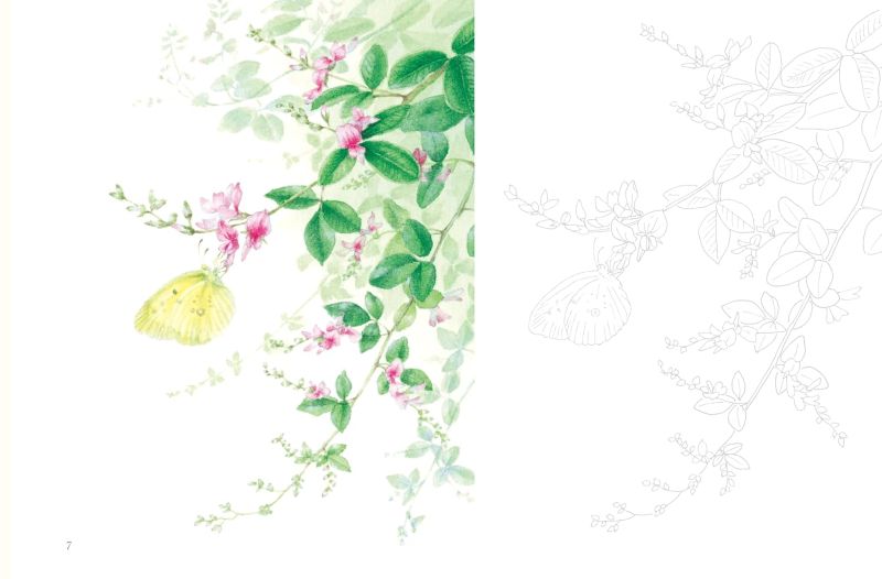 PREORDER Postcard-Sized Coloring Book: Messages of Flowers and Plants