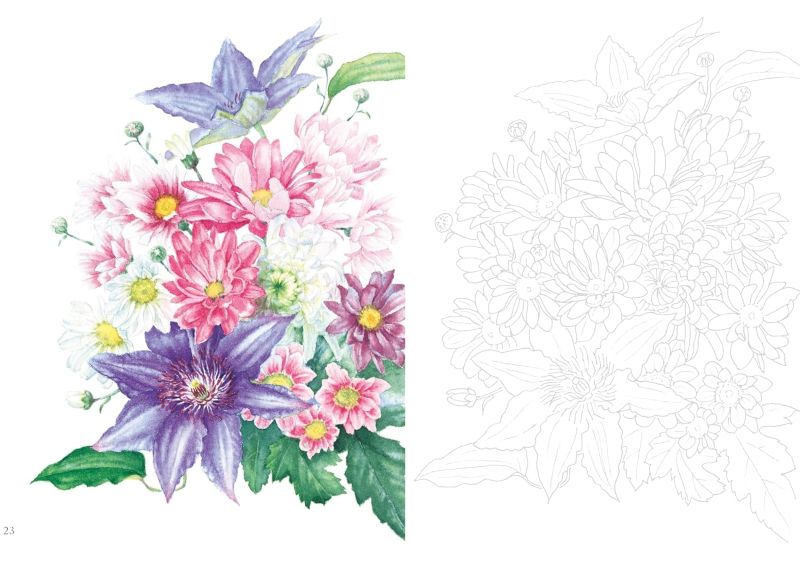 PREORDER Postcard-Sized Coloring Book: Messages of Flowers and Plants