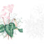 PREORDER Postcard-Sized Coloring Book: Messages of Flowers and Plants