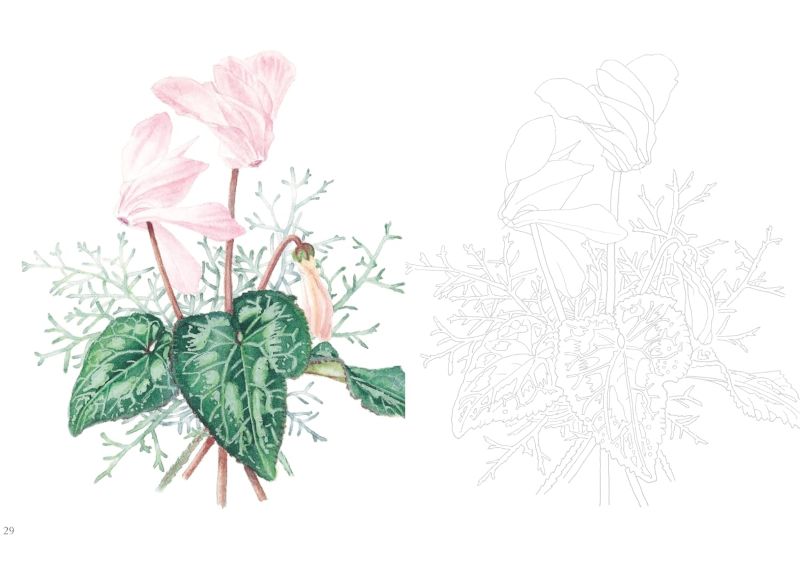 PREORDER Postcard-Sized Coloring Book: Messages of Flowers and Plants
