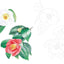 PREORDER Postcard-Sized Coloring Book: Messages of Flowers and Plants