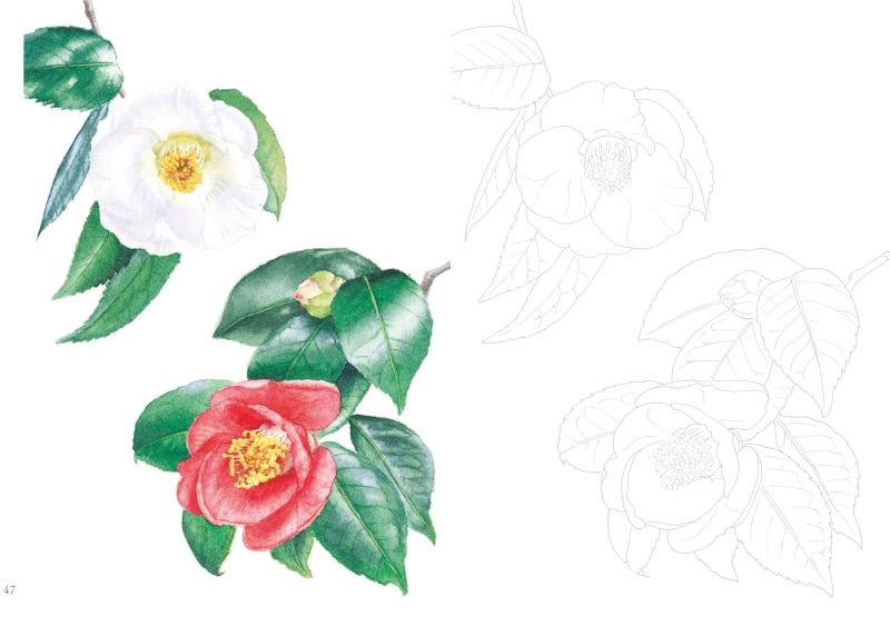 PREORDER Postcard-Sized Coloring Book: Messages of Flowers and Plants
