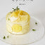 PREORDER Jelly Cake: Layered Light, Fading Gently Away