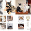 PREORDER anan Cat Love: A Massive Fluffy Traffic Jam