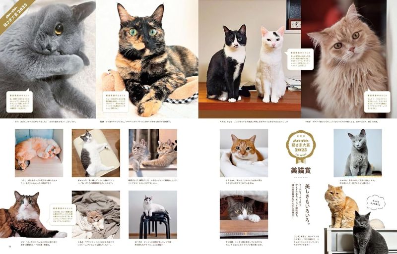PREORDER anan Cat Love: A Massive Fluffy Traffic Jam