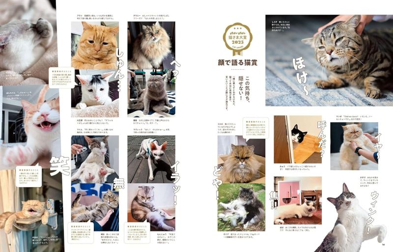 PREORDER anan Cat Love: A Massive Fluffy Traffic Jam