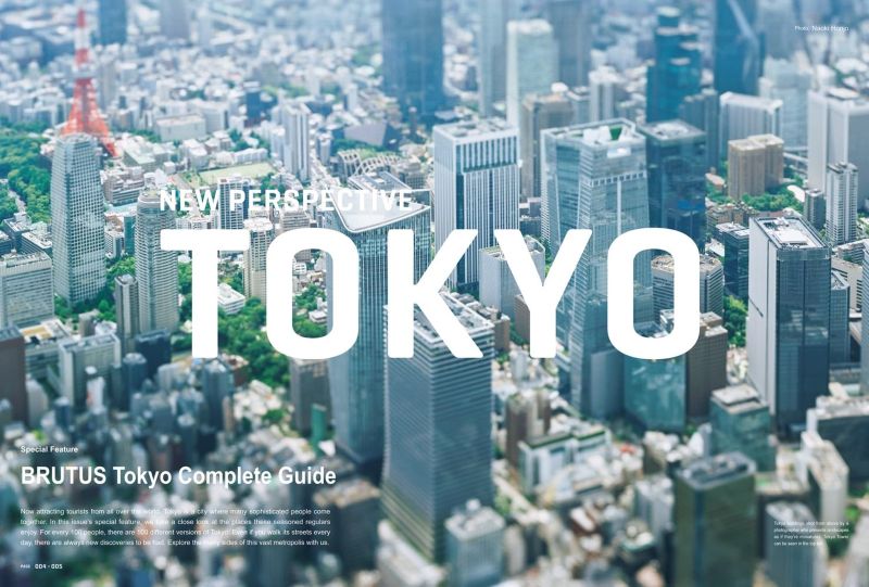 PREORDER Brutus - NEW PERSPECTIVE TOKYO