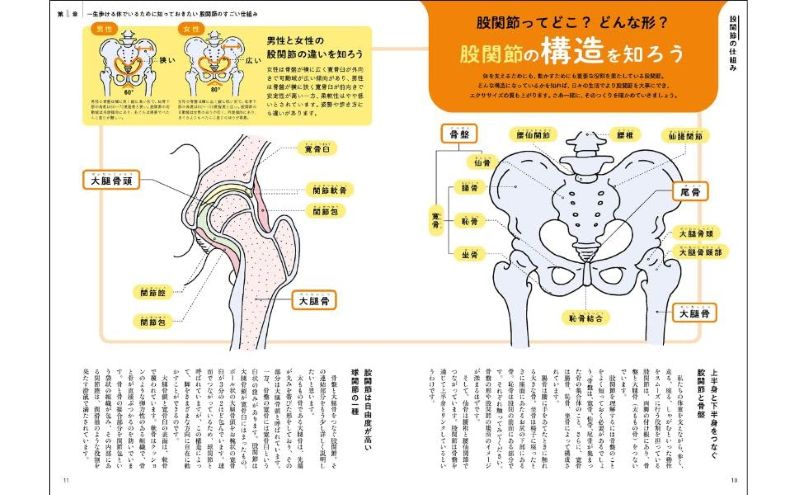 PREORDER Stay Healthy for Life by Improving Hip Flexibility!